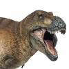 PNSO Dinozor Müzeleri Serisi-XiaoQin New Wilson The Tyrannosaurus rex 1:35 Scientific Art Models