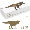 PNSO Dinozor Müzeleri Serisi-XiaoQin New Wilson The Tyrannosaurus rex 1:35 Scientific Art Models
