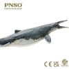 PNSO Dinozor Müzeleri Serisi-XiaoQin Ron The Mosasaurus 1:35 Scientific Art Model