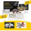 PNSO Dinozor Müzeleri Serisi-XiaoQin