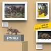 PNSO Dinozor Müzeleri Serisi-XiaoQin