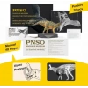 PNSO Dinozor Müzeleri Serisi-XiaoQin