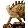 PNSO Dinozor Müzeleri Serisi-XiaoQin