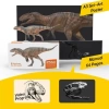 PNSO Prehistorik Dinozor Modelleri-64 62xinchuan the Sinraptor