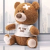 PREXTEX 30 Cm Geçmiş Olsun Peluş Ayıcık