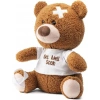 PREXTEX 30 Cm Geçmiş Olsun Peluş Ayıcık