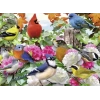 Ravensburger Garden Birds 500 Parça Yapboz Original Packaging