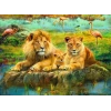 Ravensburger Lions Savannahda 500 Parça Yapboz - 16584