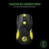 Razer RZ01-03580200-R3M1 Viper 8KHz Oyun Mouse  ESL Edition