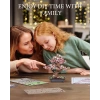 Robotime 3D Ahşap Puzzle Model