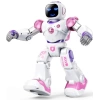 Ruko Uzaktan Kumandalı Robot   Carle Robotlar 4+ Yaş Pink