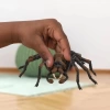 Schleich Harry Potter Aragog Figürü