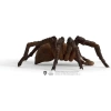 Schleich Harry Potter Aragog Figürü