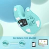 Seenda Ergonomik Kablosuz Dikey Mouse, Bluetooth 4.0+USB - Nane Yeşili