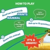 Skillmatics Kart Oyunu
