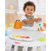 Skip Hop Bebek Aktivite İnteraktif Oyun Merkezi