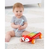 Skip Hop Dinosaur Pull Along Baby Müzikli Oyuncak
