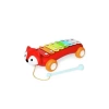 Skip Hop Dinosaur Pull Along Baby Müzikli Oyuncak