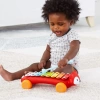 Skip Hop Dinosaur Pull Along Baby Müzikli Oyuncak