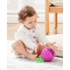 Skip Hop Gelişimsel Öğrenme Tarama Oyuncak Pancar Kutusu