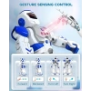 Sonomo RC Akıllı Programlanabilir Robot