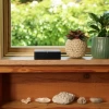 Sonos Bağlantı Noktası Çok Yönlü Akış Bileşeni Streaming Component