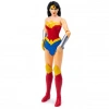 DC Comics Eylem Figürleri Spin Master
