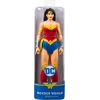 DC Comics Eylem Figürleri Spin Master