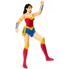 DC Comics Eylem Figürleri Spin Master