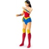DC Comics Eylem Figürleri Spin Master