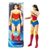 DC Comics Eylem Figürleri Spin Master