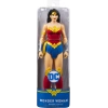 DC Comics Eylem Figürleri Spin Master