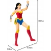 DC Comics Eylem Figürleri Spin Master