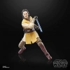STAR WARS The Acolyte The Black Series Jedi Master Sol Figür