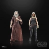 STAR WARS The Black Series Luke Skywalker, Luuke, Joruus Cbaoth, Mara Jade Figür