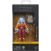 STAR WARS The Black Series Skeleton Crew Neel (at Attin) Figür