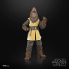 STAR WARS The Black Series The Acolyte Jedi Master Kelnacca Figür