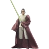 Star Wars The Vintage Collection The Acolyte Jedi Master Indara Figürü