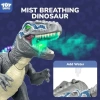 Steam Life Uzaktan Kumandalı Dinozor Oyuncak Gray