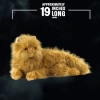 The Noble Collection Harry Potter Crookshanks Peluş