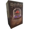 The Noble Collection Harry Potter Felsefe Taşı