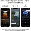 WiiM Mini AirPlay2 Kablosuz Ses Aktarıcı