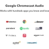 WiiM Pro AirPlay 2 - WiFi Çok Odalı Yayıncı Chromecast