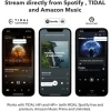 WiiM Pro AirPlay 2 - WiFi Çok Odalı Yayıncı Chromecast