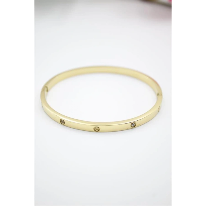 CRT Model İnce Taşlı Çelik Bilezik (60mm) - Altın