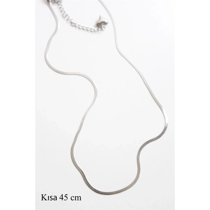 İnce İtalyan Zincir Çelik Kolye (45cm) - Gümüş