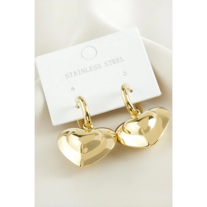 Kalp Lüks Çelik Küpe