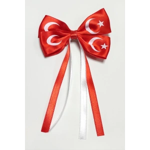 23 Nisan 19 Mayıs Türk Bayraklı Fiyong Pens Toka