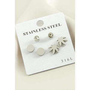 6 Adet Yaprak Taşlı Çelik Küpe