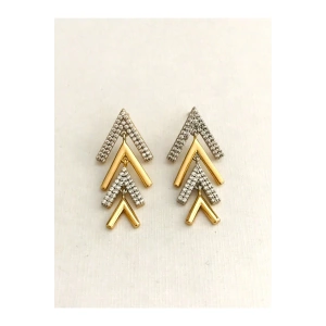 Çelik 2 Renkli V Küpe